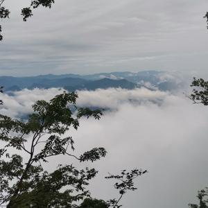 飛雲影视剪辑头像