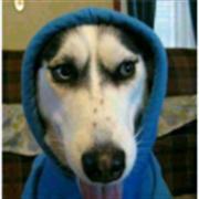 puchunjie的个人资料头像