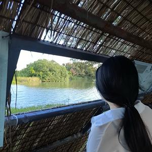 错过月亮会遇见太阳头像