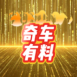 奇车有料头像