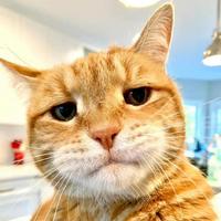 努力练车的小关同学头像