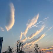 123157的个人资料头像