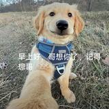 用户3917393272853头像