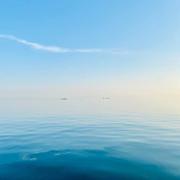 用户87389577523的个人资料头像