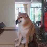 用户8160508665761的个人资料头像