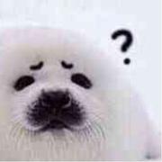 被铁球带飞的伽利略的个人资料头像