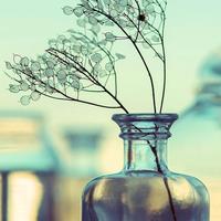 有趣的花猫1S3头像