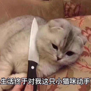 Oomph的个人资料头像