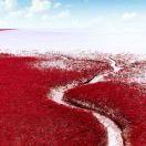 开奔驰捡破烂的个人资料头像