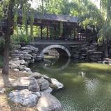 青泞496头像