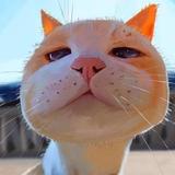 昭华旦夕丶头像
