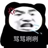 说反话的是笨蛋头像