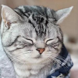 乱乱的宝藏头像