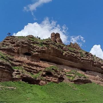 爱车的香柴花开头像