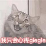 L万物皆虚万事皆允头像