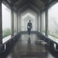 silent陈末头像