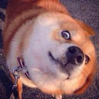 鱼香肉丝甜不辣头像