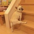 用户109091250545头像