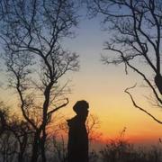 打酱油啦_的个人资料头像