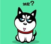 喻鱼鱼_的个人资料头像