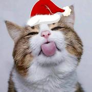 Awabbett的个人资料头像