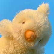 巡游气泡的个人资料头像