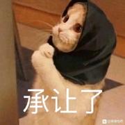 白星星的个人资料头像