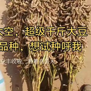 农民种地致富好品种头像
