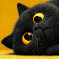 知情达理海浪RN头像