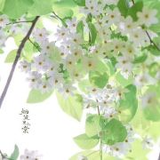 英语翻译百晓生头像