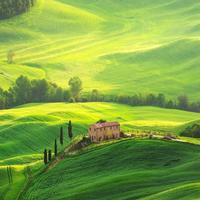 江门长安CS15头像