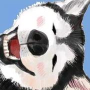 s1ro6的个人资料头像