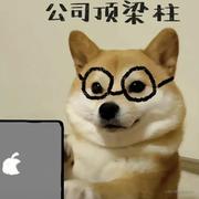 it小邵的个人资料头像