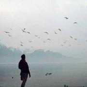 护prom的个人资料头像