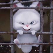 A_X的个人资料头像