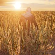 小钻头大年糕的个人资料头像