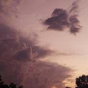 紫星因因的个人资料头像