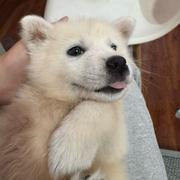 用户4591871741286的个人资料头像