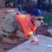 阿翁661的个人资料头像