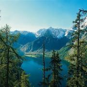 土豆675的个人资料头像