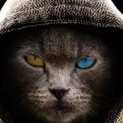 JackieLi的个人资料头像