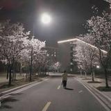 白家三少8m9Z头像
