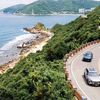 顶峰相见9668头像