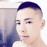 自由仁爱百灵鸟头像