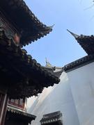 用户7158561448848的个人资料头像