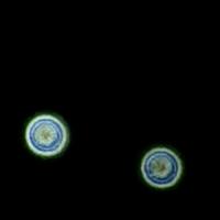 美食家博乐7F2头像