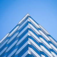 热血青年卡罗尔7N7头像