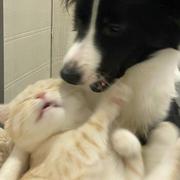 奉奉813的个人资料头像