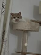 用户90370016715的个人资料头像