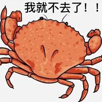 桂A縱有冷風飄過头像